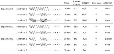 Repetitive Passive Movement Modulates Corticospinal Excitability: Effect of Movement and Rest Cycles and Subject Attention